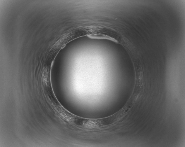 X0000086010129200703231222
