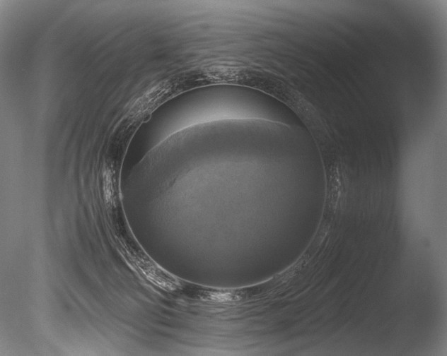 X0000086010130200703231222