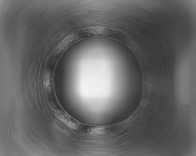 X0000086010132200703231222