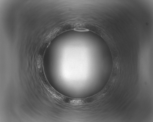 X0000086010133200703231222
