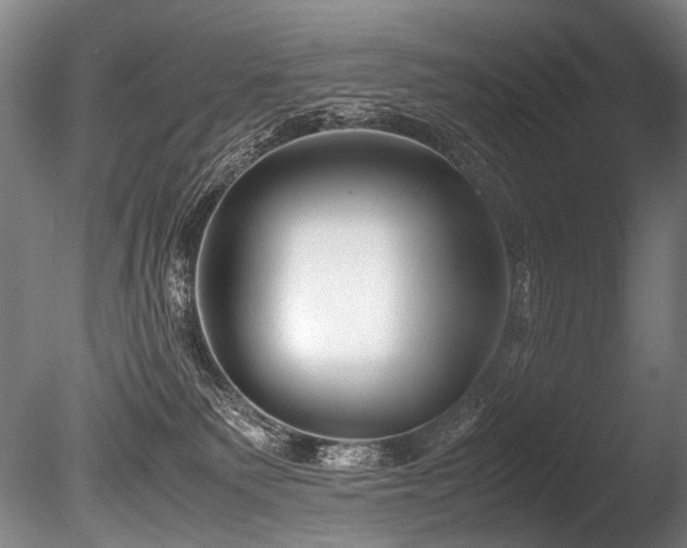 X0000086010135200703231222