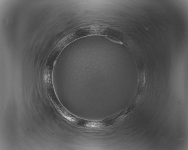 X0000086010137200703231222