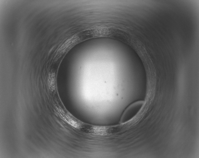 X0000086010144200703231222