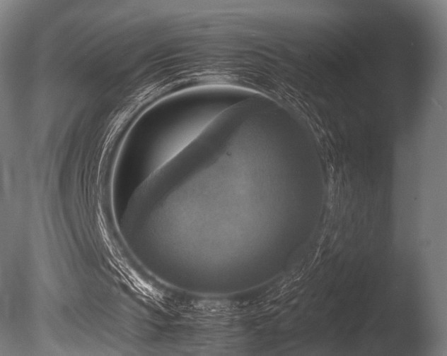 X0000086010145200703231221