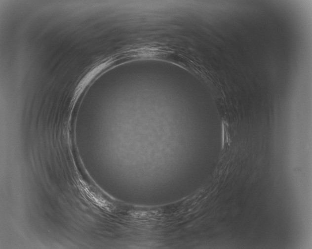 X0000086010147200703231221