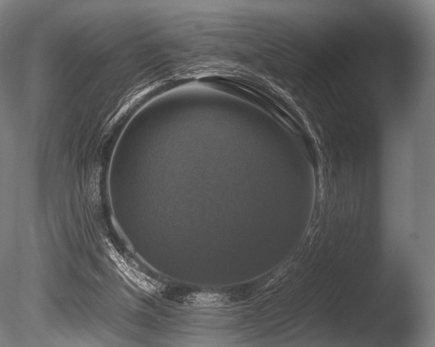 X0000086010154200703231221