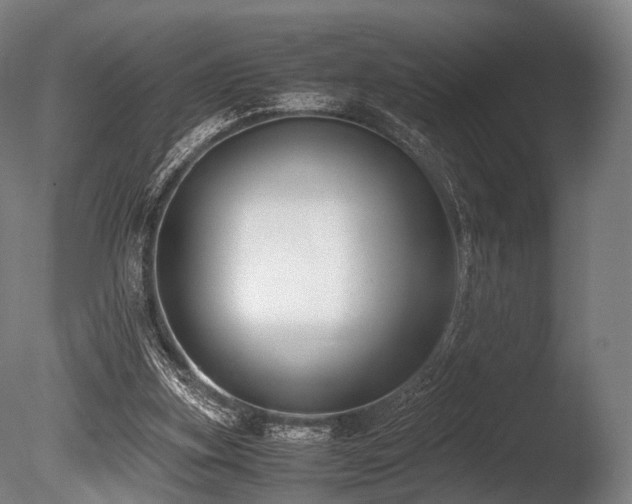 X0000086010155200703231221