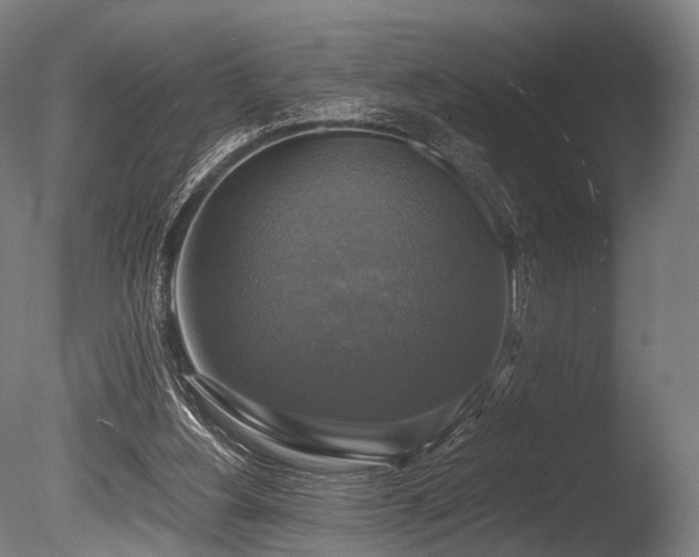 X0000086010156200703231221