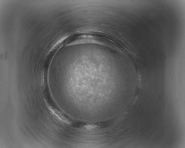 X0000086010158200703231221