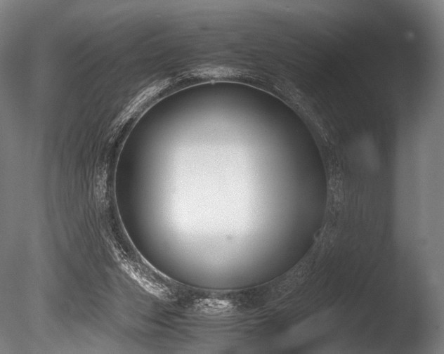 X0000086010159200703231221