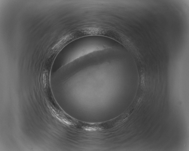 X0000086010165200703231221