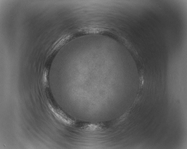 X0000086010166200703231221