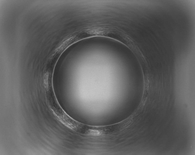 X0000086010167200703231221