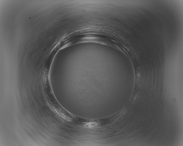 X0000086010168200703231221