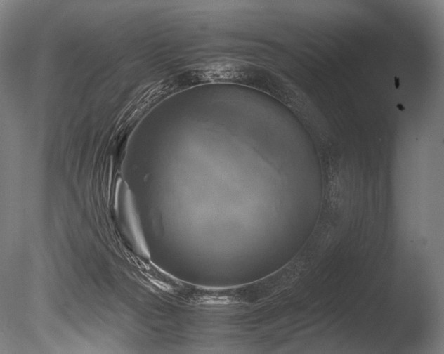 X0000086010169200703231221