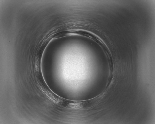 X0000086010170200703231221