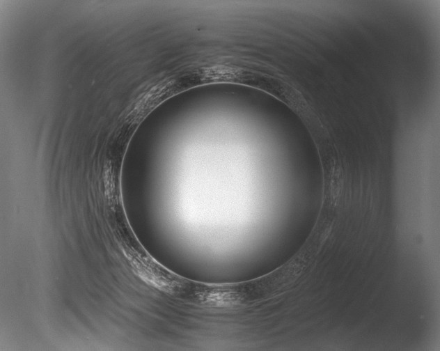 X0000086010173200703231221