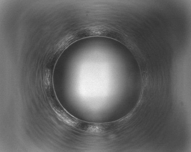 X0000086010174200703231221