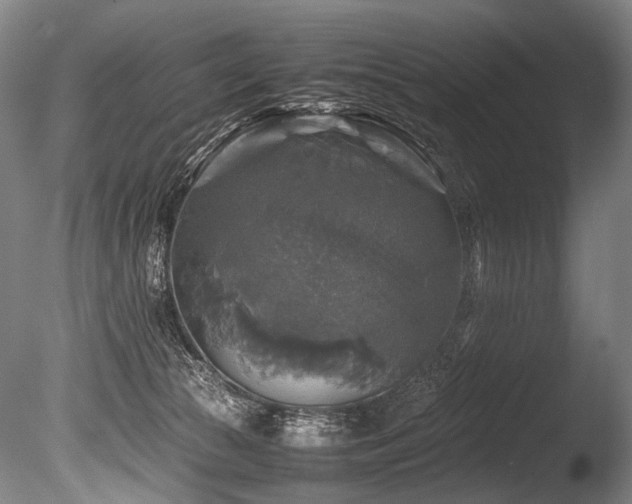 X0000086010177200703231221