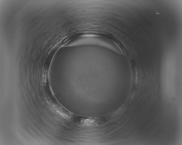 X0000086010180200703231221