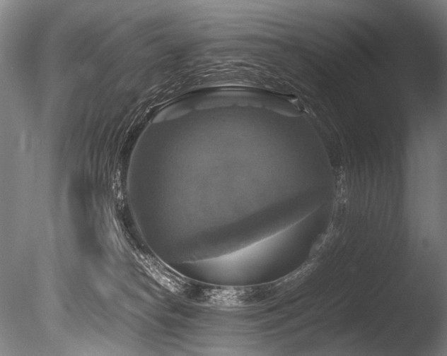X0000086010182200703231221