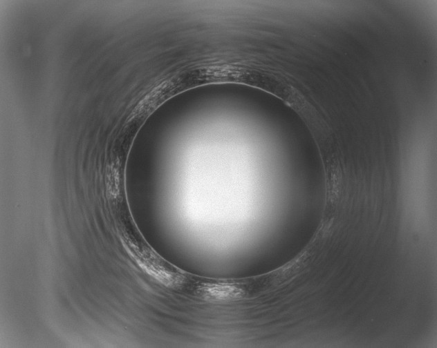 X0000086010183200703231221