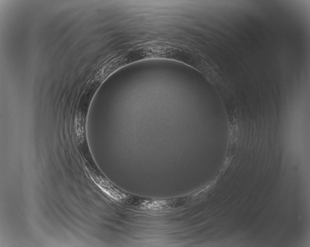 X0000086010186200703231221