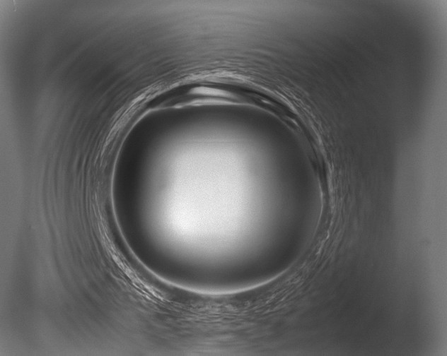 X0000086010193200703231221