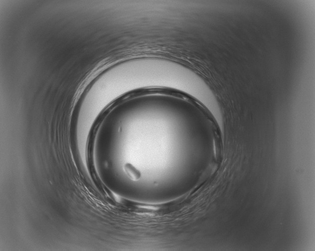 X0000086010195200703231221