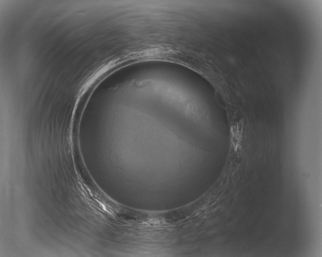 X0000086010196200703231221
