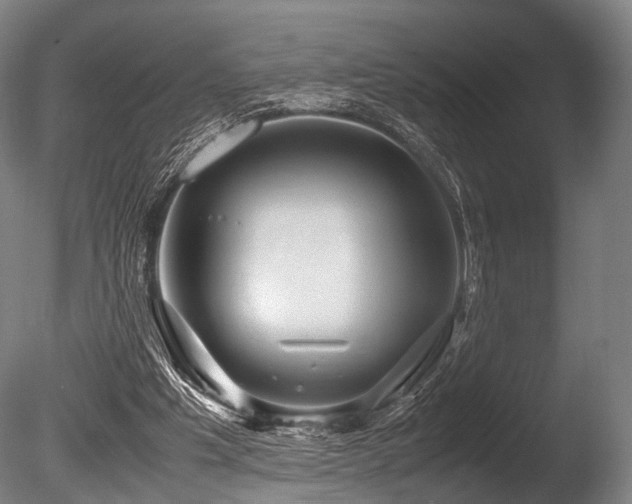 X0000086010201200703231221