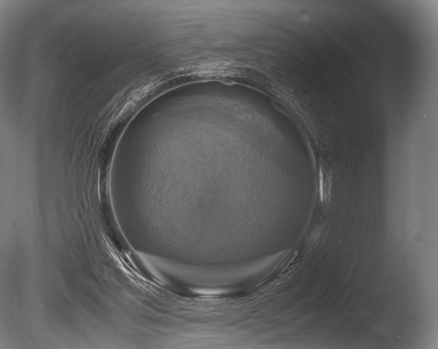 X0000086010205200703231221