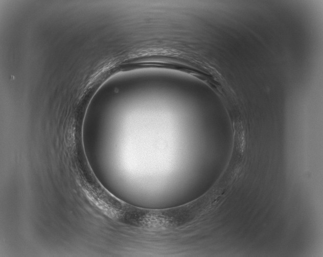 X0000086010207200703231220