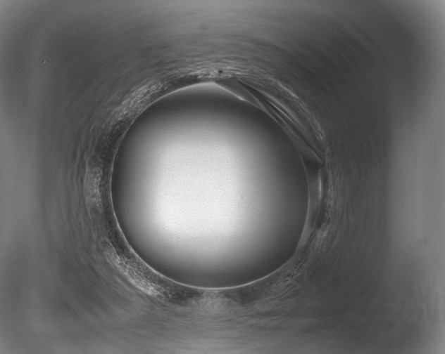 X0000086010209200703231220