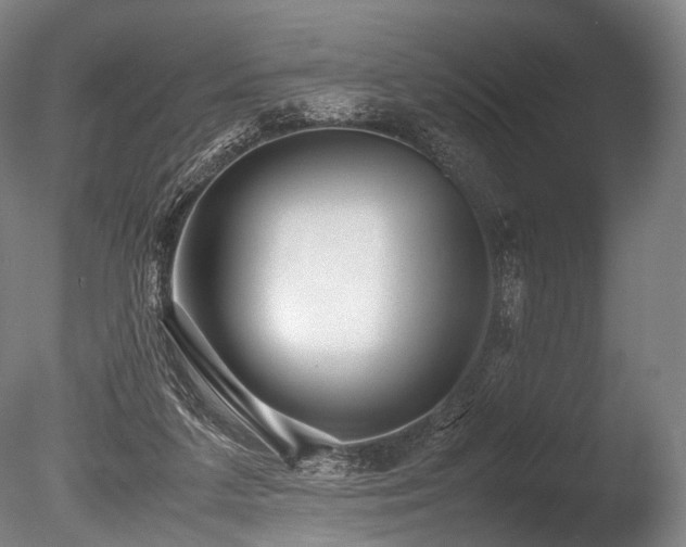 X0000086010211200703231220