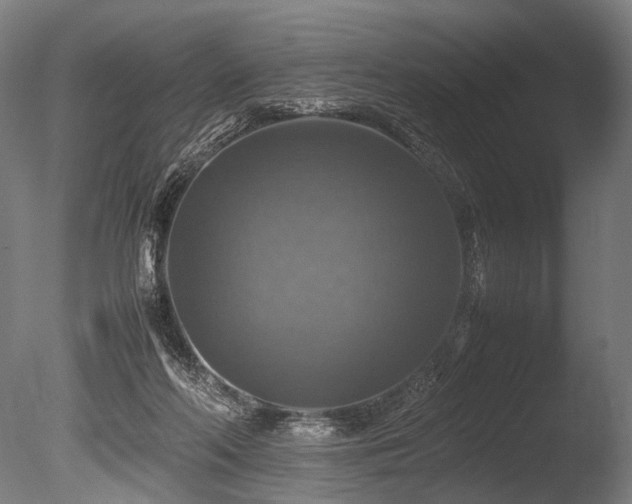 X0000086010214200703231220