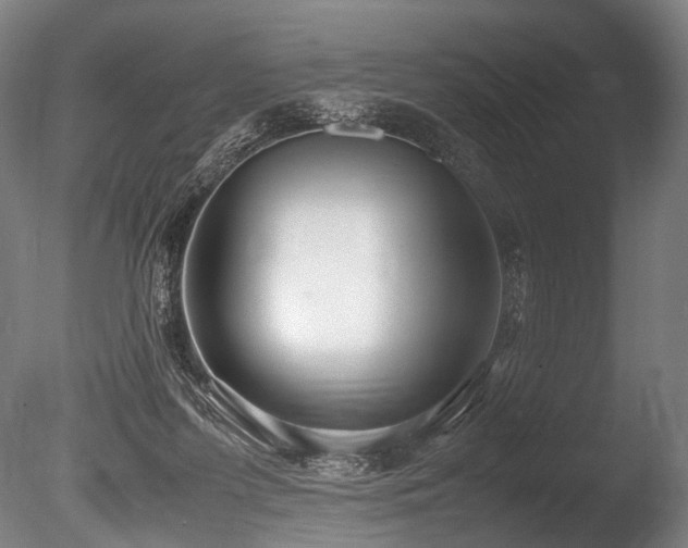 X0000086010215200703231220