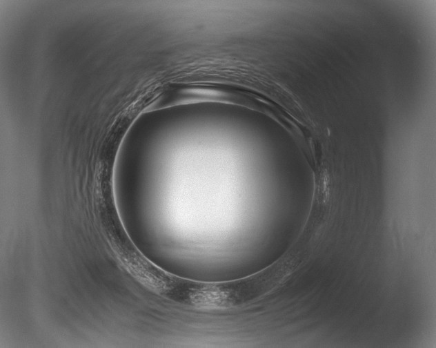 X0000086010217200703231220