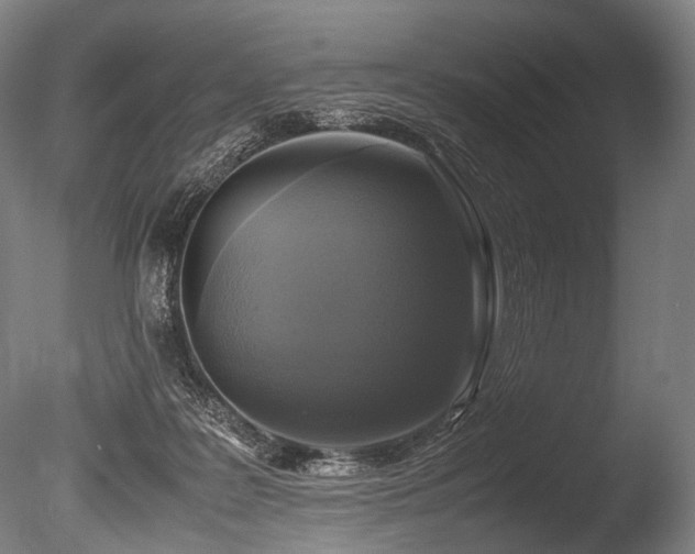 X0000086010219200703231220