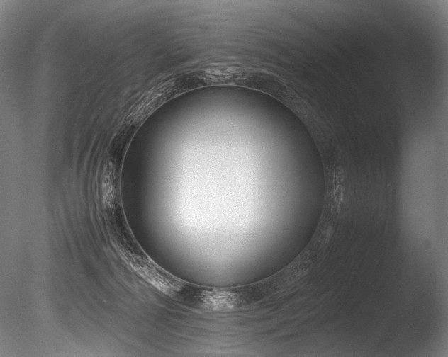 X0000086010226200703231220