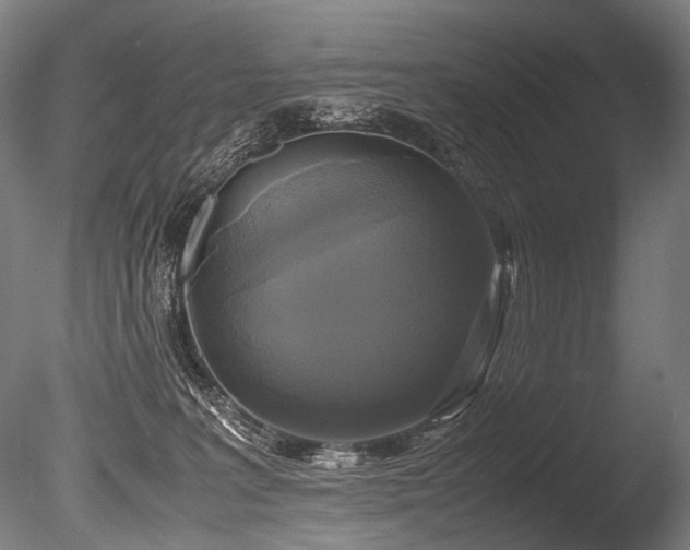 X0000086010227200703231220