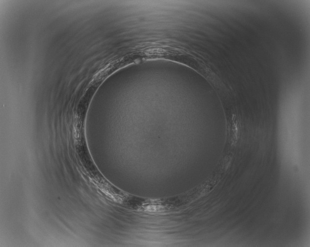 X0000086010228200703231220