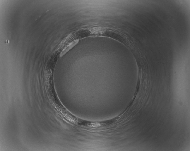 X0000086010229200703231220