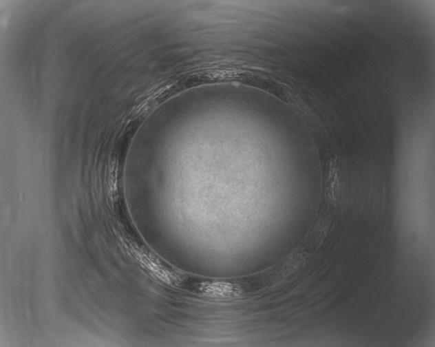 X0000086010230200703231220