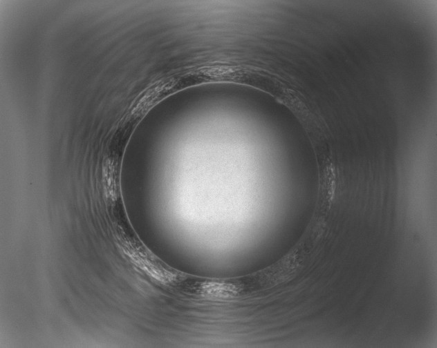 X0000086010234200703231220