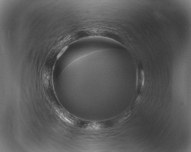 X0000086010235200703231220