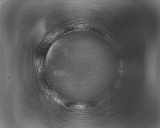 X0000086010236200703231220