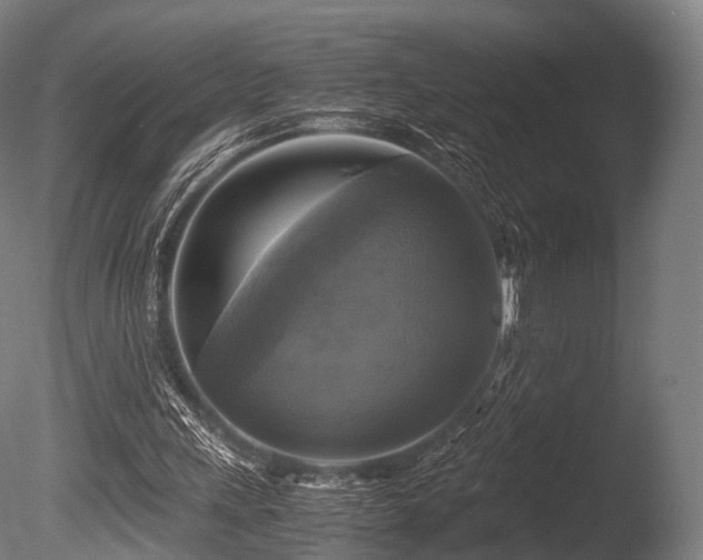 X0000086010243200703231219