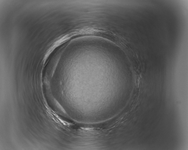 X0000086010244200703231219