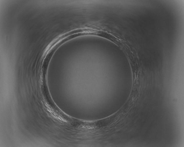 X0000086010247200703231219